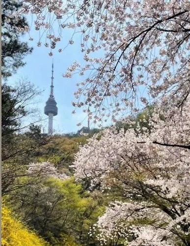신규오픈#3룸 4베드#용산역#서울역#공항버스도보3분#남산타워#별장#가족#단체#루프탑#하이브 Apartamento *